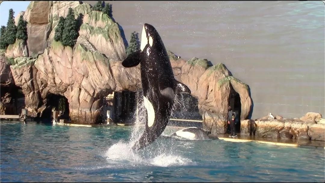 サンディエゴ水族館にて