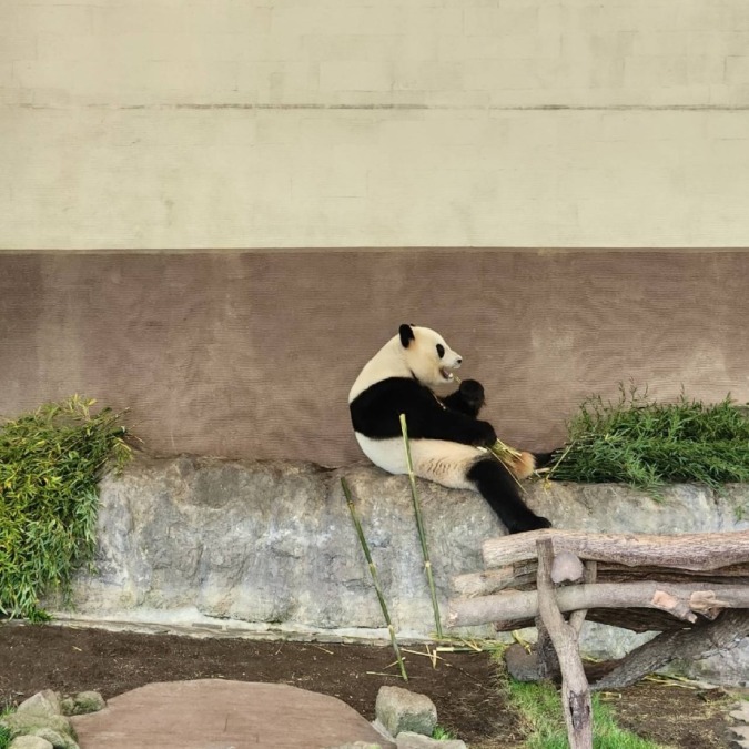 水と緑とパンダの里　和歌山1泊2日の旅